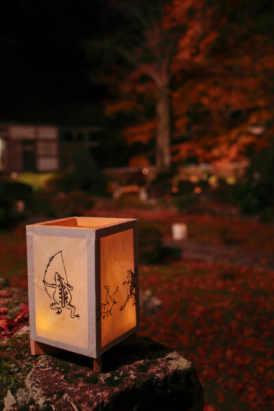 大梅山法常寺の紅葉ライトアップ　2024年11月30日　提供：junichiro.takikawa