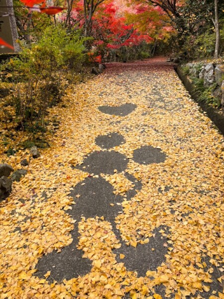 神蔵寺　あのキャラクターの落ち葉アート　2025年11月18日　撮影：MKタクシー