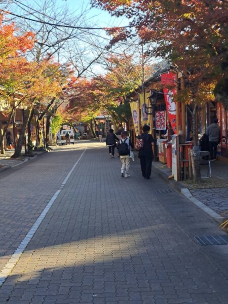 一巡となるツアーで谷汲山華厳寺の参道を牧さんとふたりで歩いているところ。参加者の方が撮影し提供してくださいました。