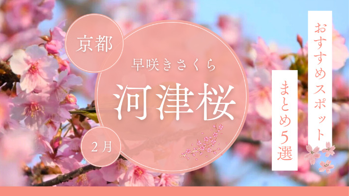 2月頃に咲く、早咲きの「河津桜」京都の花見おすすめスポットまとめ５選