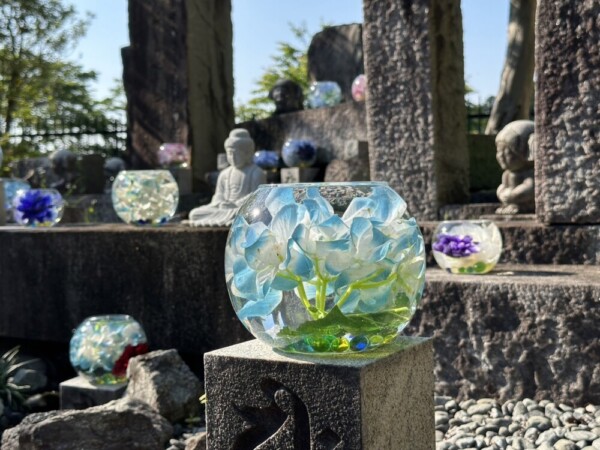 壷阪寺のあじさい　2024年6月1日　撮影：MKタクシー
