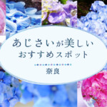 奈良の「あじさい」が美しいおすすめスポット8選！矢田寺や大和観音「あぢさゐ回廊」