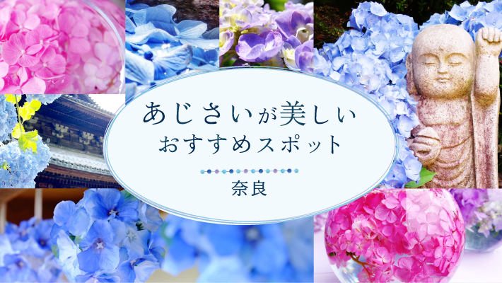 奈良の「あじさい」が美しいおすすめスポット8選！矢田寺や大和観音「あぢさゐ回廊」