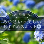 滋賀の「あじさい」が美しいおすすめスポット4選！余呉湖/全長寺/芦刈園/長命寺