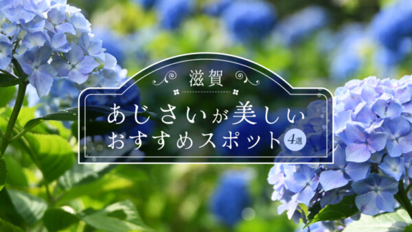 滋賀の「あじさい」が美しいおすすめスポット4選！余呉湖/全長寺/芦刈園/長命寺