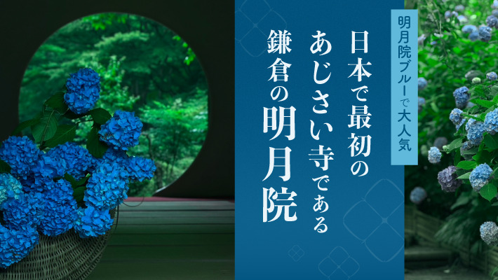 明月院ブルーで大人気！日本で最初の「あじさい寺」である鎌倉の明月院