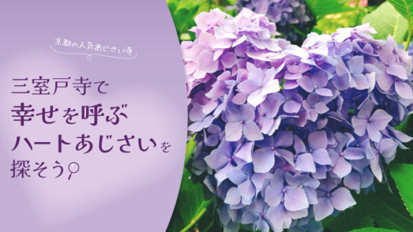 京都のあじさい寺・三室戸寺で幸せを呼ぶ「ハートのあじさい」を探そう