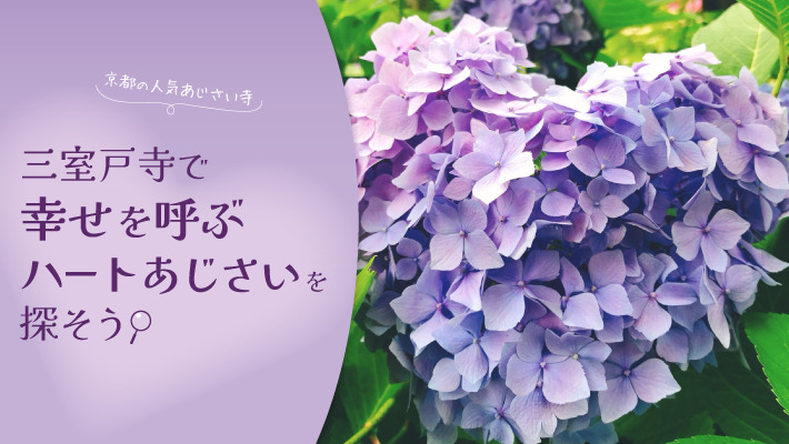 三室戸寺で“幸せを呼ぶハートあじさい”を探そう｜京都の人気あじさい寺