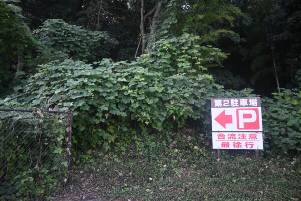 このあたりが治部池の東端部　2025年9月9日　撮影：MKタクシー