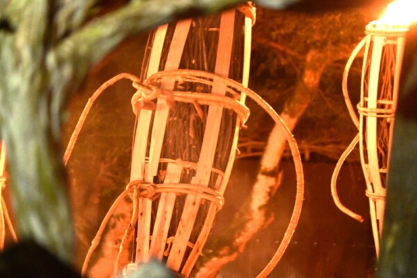 20：23　注連縄切りのために立てられた甲斐性松明が一部だけ見える　撮影：MKトラベル