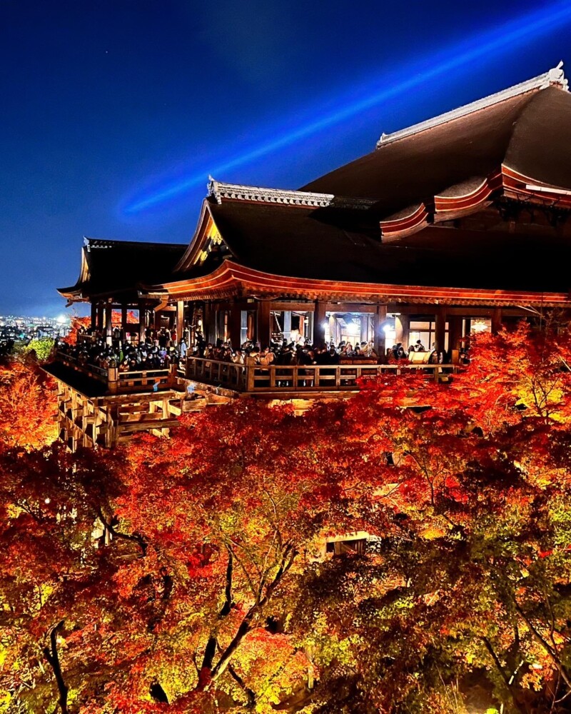 清水寺（東山区）の紅葉ライトアップ　2022年11月25日　撮影：MKタクシー