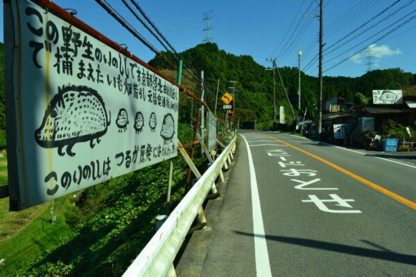 国道307号線沿いの大福屋　2017年9月30日　撮影：MKタクシー