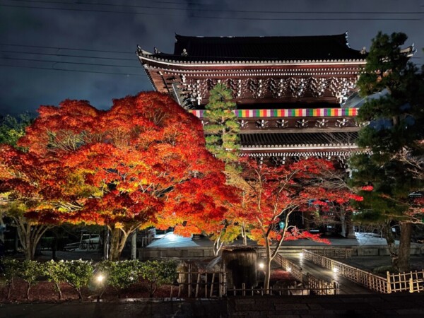金戒光明寺の紅葉ライトアップ　2020年11月23日　撮影：MKタクシー