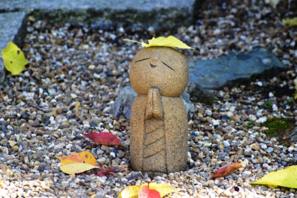 正寿院本堂前の散紅葉　2018年11月11日　撮影：MKタクシー