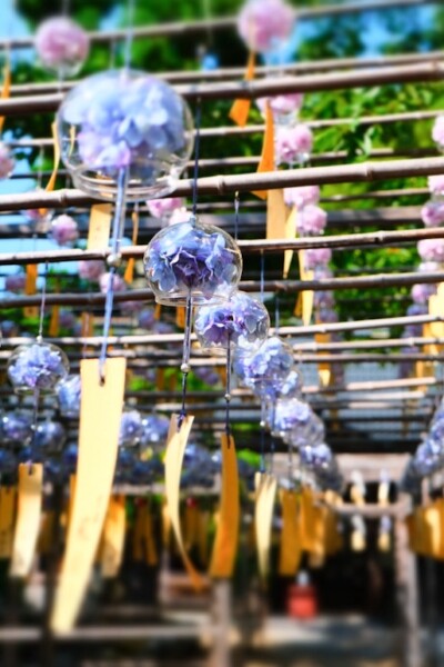 正寿院の風鈴祭　2025年7月7日　撮影：MKタクシー