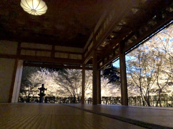 正寿院の桜ライトアップ　2022年4月10日　撮影：MKタクシー