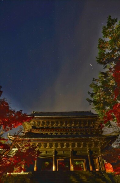 知恩院・三門の紅葉ライトアップ　2024年12月5日　撮影：MKタクシー