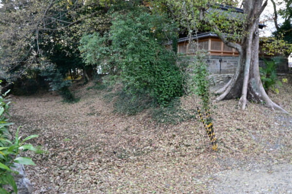 下三栖城の堀の遺構　2024年12月18日　撮影：MKタクシー