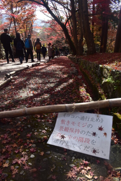 毘沙門堂門跡・勅使門の注意書き　2019年11月30日　撮影：MKタクシー
