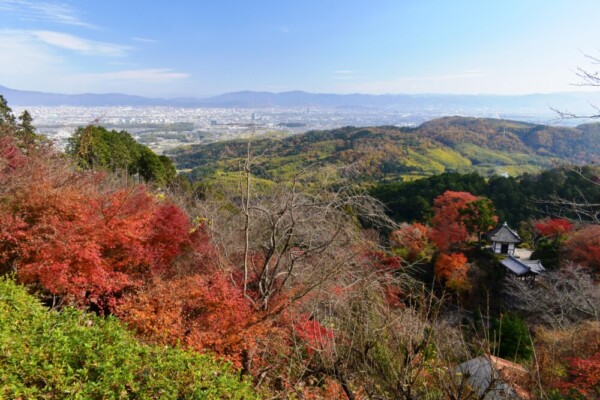 善峯寺の境内から眺める伏見方面の大展望と紅葉　2020年12月6日　撮影：MKタクシー