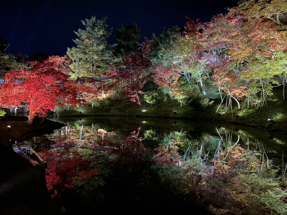 高台寺のライトアップ　2020年11月18日　撮影：MKタクシー