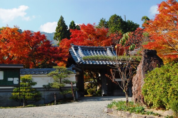 正法寺（西京区大原野）の紅葉　2007年11月25日　撮影：MKタクシー