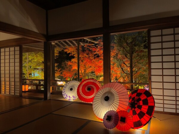 勝林寺の紅葉ライトアップ　2021年11月25日　撮影：MKタクシー