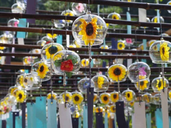 正寿院の風鈴まつり　2019年7月10日　撮影：MKタクシー