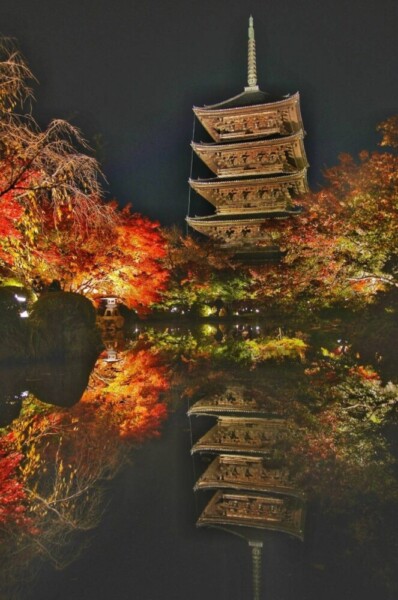 東寺・五重塔の紅葉ライトアップ　2024年12月2日　撮影：MKタクシー