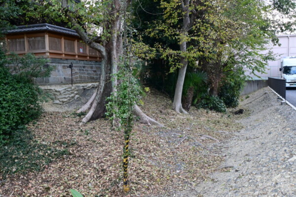 下三栖城の堀の遺構　2024年12月18日　撮影：MKタクシー