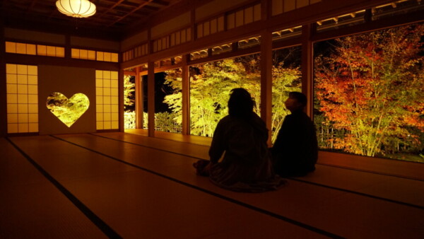 正寿院客殿の紅葉ライトアップ　2021年11月17日　撮影：MKタクシー