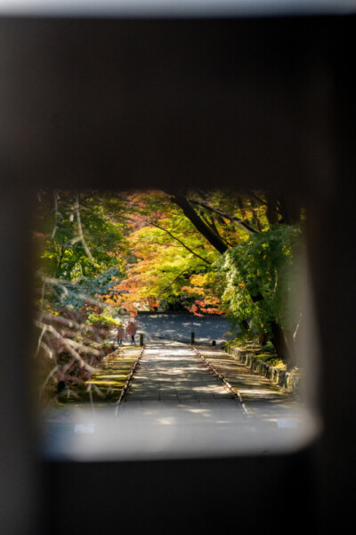 毘沙門堂門跡・勅使門内から見た勅使坂　2022年11月9日　撮影：MKタクシー