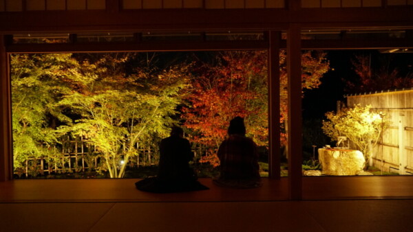 正寿院客殿の縁側で眺める紅葉ライトアップ　2021年11月17日　撮影：MKタクシー