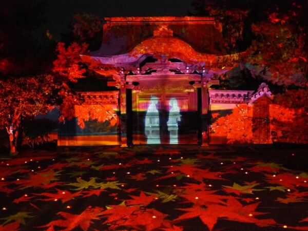 高台寺の紅葉ライトアップ　2022年11月8日　撮影：ＭＫタクシー