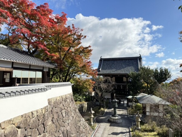 善峯寺の山門と紅葉　2024年11月18日　撮影：MKタクシー