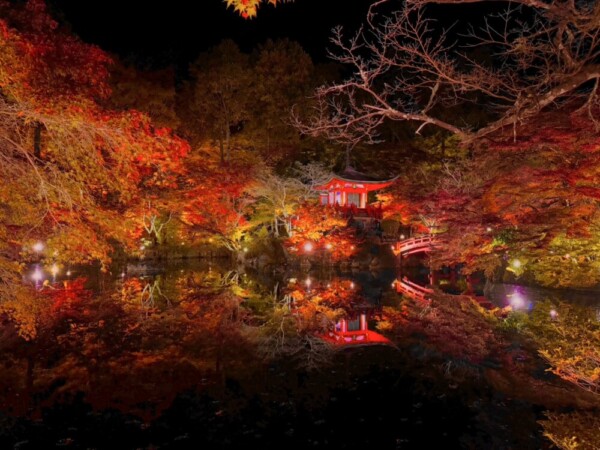醍醐寺・弁天池の紅葉ライトアップ　2024年11月25日　撮影：MKタクシー