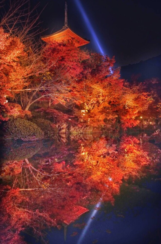 清水寺（東山区）の紅葉ライトアップ　2023年11月21日　撮影：MKタクシー
