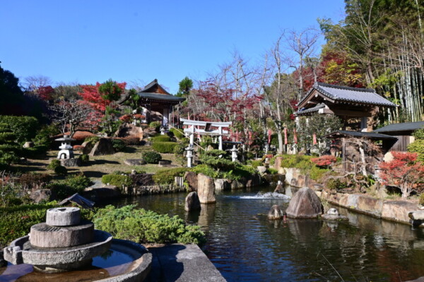 天鏡院の紅葉　2024年12月8日　撮影：MKタクシー