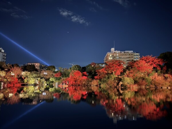 渉成園の紅葉ライトアップ　2024年12月5日　撮影：MKタクシー