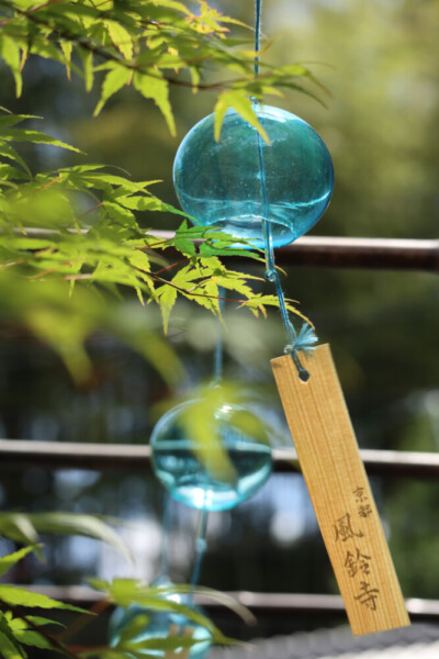 正寿院の風鈴まつり　2021年6月17日　撮影：MKタクシー