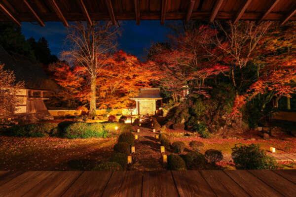 大梅山法常寺の紅葉ライトアップ　2024年11月30日　提供：junichiro.takikawa