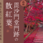 山科・毘沙門堂門跡の散紅葉｜地面を埋め尽くす深紅の絨毯
