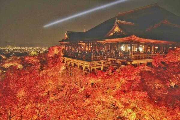 清水寺の紅葉ライトアップ　2023年11月21日　撮影：MKタクシー