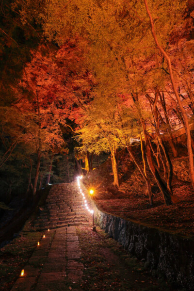 大梅山法常寺の紅葉ライトアップ　2024年11月30日　提供：junichiro.takikawa