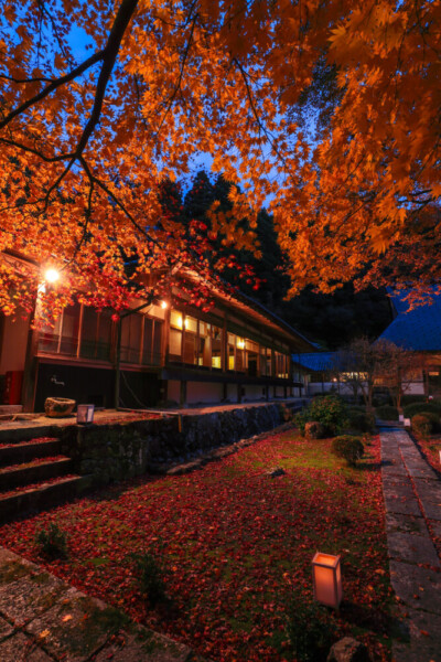 大梅山法常寺の紅葉ライトアップ　2024年11月30日　提供：junichiro.takikawa
