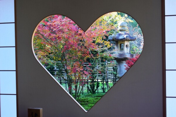 正寿院客殿の猪目窓越しの紅葉　2018年11月11日　撮影：MKタクシー