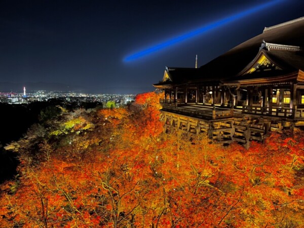 清水寺の紅葉ライトアップ　2021年11月26日　撮影：ＭＫタクシー
