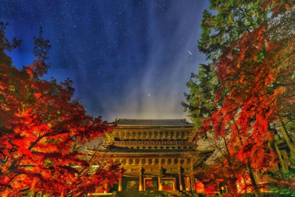 知恩院・三門の紅葉ライトアップ　2024年12月5日　撮影：MKタクシー