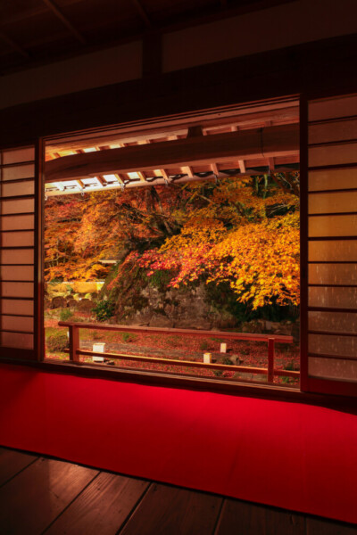 大梅山法常寺の紅葉ライトアップ　2024年11月30日　提供：junichiro.takikawa