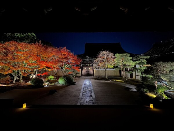 妙顕寺の紅葉ライトアップ　2023年12月1日　撮影：MKタクシー